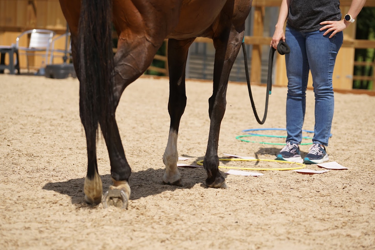 Horse Assisted Coaching